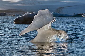 Image showing Glacial lake with icebergs