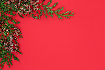 Image showing Cedar Cypress Christmas and Winter Background Border