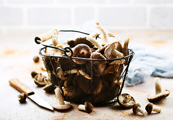 Image showing raw mushrooms