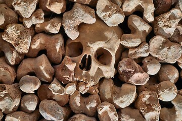 Image showing Skulls and bones in a wall