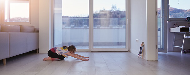 Image showing girl online education ballet class at home