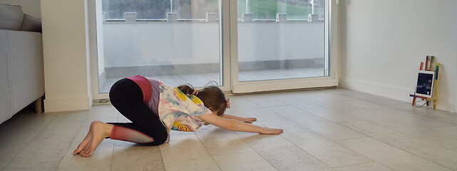 Image showing girl online education ballet class at home