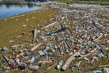 Image showing Plastic bottles in water