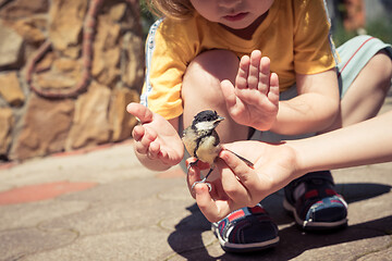 Image showing little boy is playing with a chick at the day time.