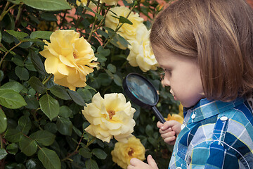 Image showing Happy little boy exploring nature with magnifying glass at the d