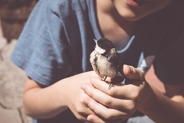 Image showing little boy is playing with a chick at the day time.