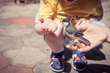 Image showing little boy is playing with a chick at the day time.