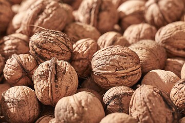 Image showing Walnuts in a pile