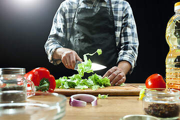 Image showing Preparing salad. Female chef cutting fresh vegetables. Cooking process. Selective focus