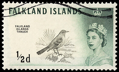 Image showing Austral Thrush Stamp