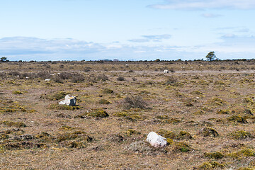 Image showing Great barren alvar plain landscape