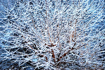 Image showing Winter snow outdoors.