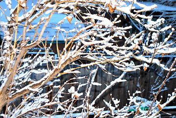 Image showing Winter snow outdoors.