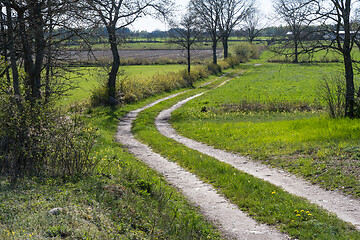 Image showing Winding country road by spring season