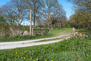 Image showing Old wooden gate by a country road in spring season