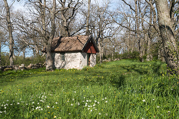 Image showing Springtime by a sheep shed in a green meadow