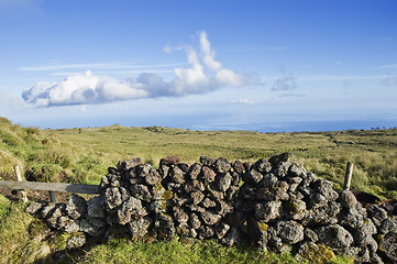 Image showing Pasture landscape of Pico island, Azores