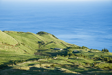 Image showing Pasture landscape of Pico island, Azores