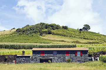 Image showing Beautiful farmhouse in Pico island, Azores