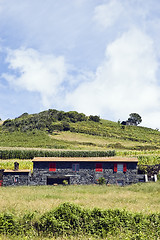 Image showing Beautiful farmhouse in Pico island, Azores