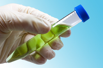 Image showing Testtube with green