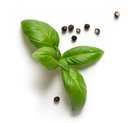 Image showing fresh green basil leaves and pepper