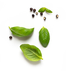 Image showing fresh green basil leaves and pepper