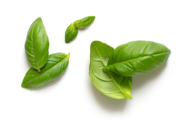 Image showing fresh basil leaves