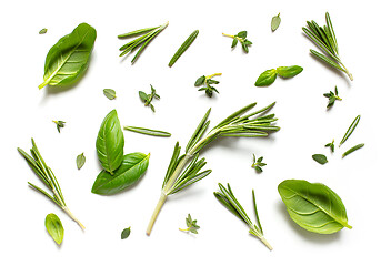 Image showing various herbs on white background, top view