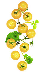 Image showing Fresh Yellow Tomatoes