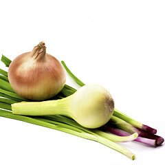 Image showing Fresh Various Onions