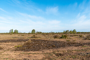 Image showing Limestone bedrock in a wide open barren landscape