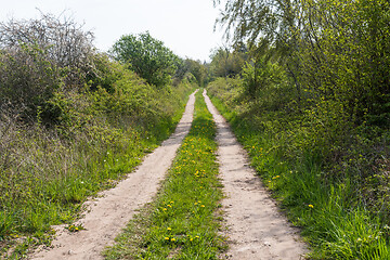 Image showing Green dirt road in spring season