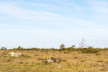 Image showing Great barren grassland Stora Alvaret in Sweden