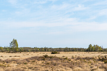 Image showing Great plain barren grassland in spring season