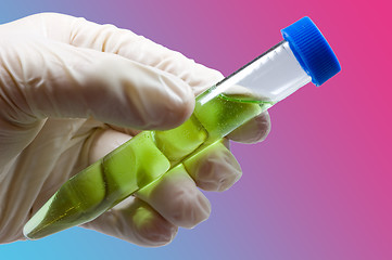 Image showing Test Tube with green.