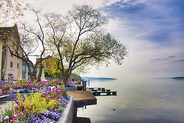 Image showing Lake Constance in spring 