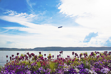 Image showing Lake Constance in spring