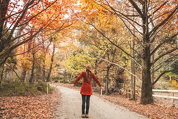 Image showing Enjoying the beautiful countryside in Autumn