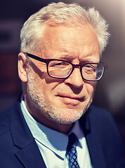 Image showing close up of senior businessman in eyeglasses