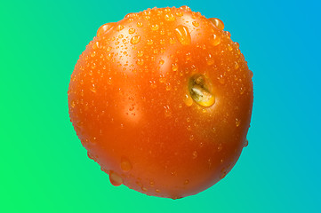 Image showing Tomato on blue green