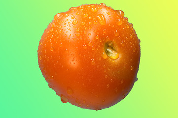 Image showing Tomato on green Bg.