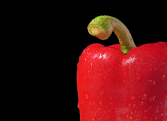 Image showing Bell pepper