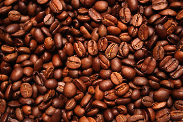 Image showing Coffee beans