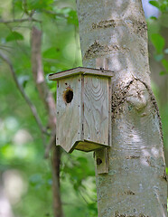 Image showing Wooden bird house on tree