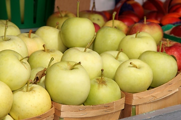 Image showing Apples at the market