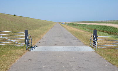 Image showing Cattle grid in ground