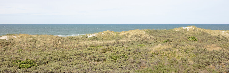 Image showing Dunes, North Sea and Waddensea coast of nature reserve on Amelan