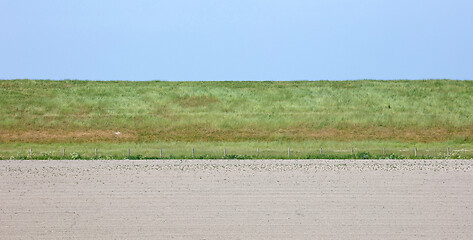 Image showing Sideview of a large dyke in the Netherlands