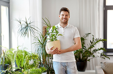 Image showing man with flower taking care of houseplants at home